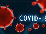 Đại dịch COVID: Tăng tỉ lệ thất nghiệp, tỉ lệ sa thải tạm thời và giảm chất lượng việc làm 